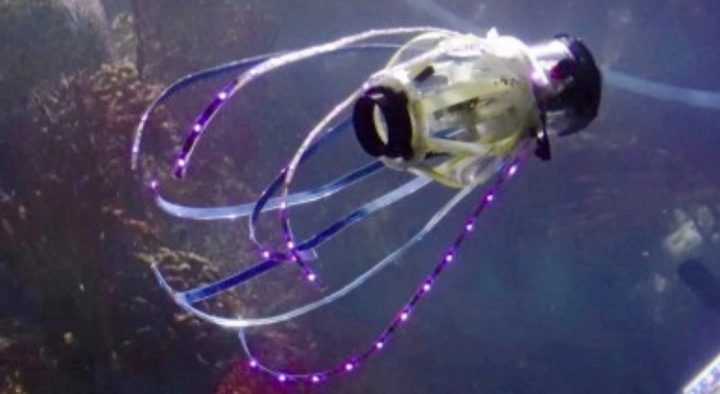 หุ่นยนต์ปลาหมึก เพื่อภารกิจใต้ทะเล