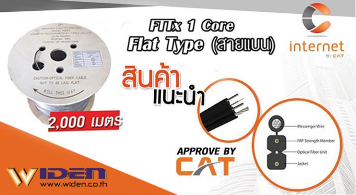 Widen Fiber Drop FTTx(Flat Type), CAT Fttx